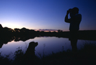 Waikato 101204.jpg